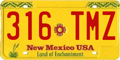 NM license plate 316TMZ