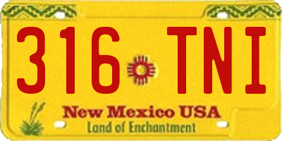 NM license plate 316TNI