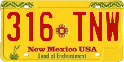NM license plate 316TNW