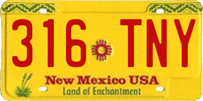 NM license plate 316TNY