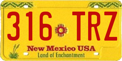 NM license plate 316TRZ