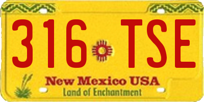 NM license plate 316TSE