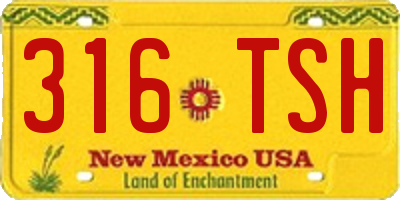 NM license plate 316TSH