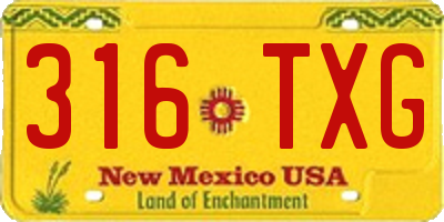 NM license plate 316TXG