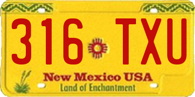 NM license plate 316TXU