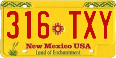 NM license plate 316TXY