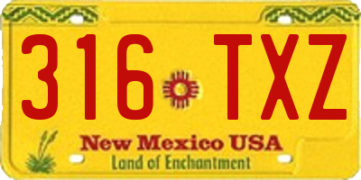 NM license plate 316TXZ