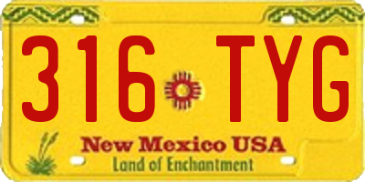 NM license plate 316TYG