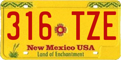 NM license plate 316TZE