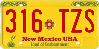 NM license plate 316TZS