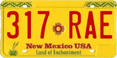 NM license plate 317RAE