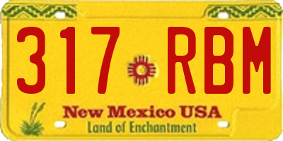 NM license plate 317RBM