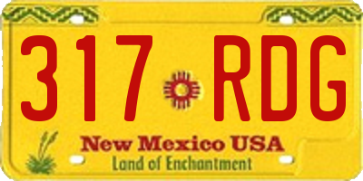 NM license plate 317RDG
