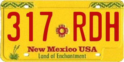 NM license plate 317RDH