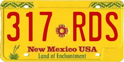 NM license plate 317RDS