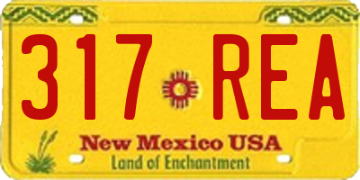 NM license plate 317REA