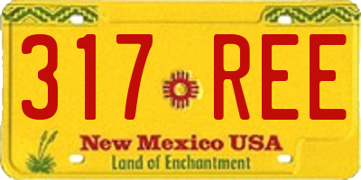NM license plate 317REE