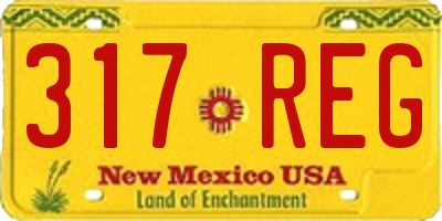 NM license plate 317REG