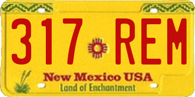NM license plate 317REM