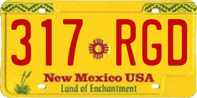 NM license plate 317RGD