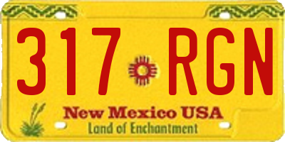 NM license plate 317RGN