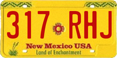 NM license plate 317RHJ
