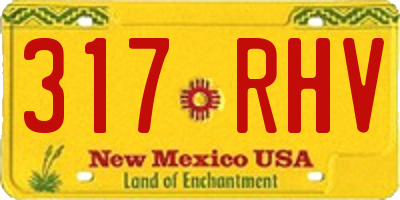 NM license plate 317RHV
