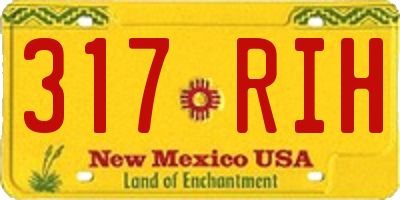 NM license plate 317RIH