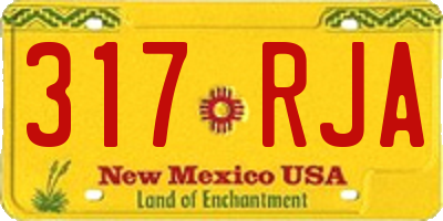 NM license plate 317RJA