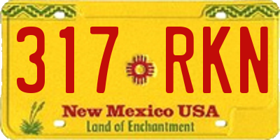NM license plate 317RKN