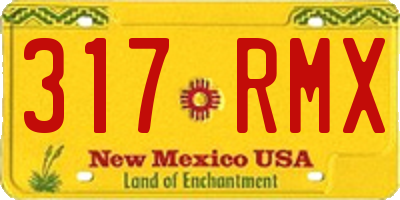 NM license plate 317RMX