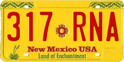NM license plate 317RNA