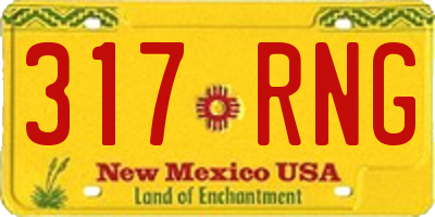 NM license plate 317RNG