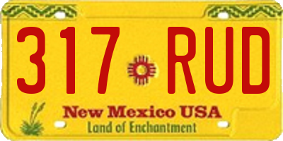NM license plate 317RUD