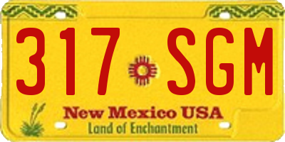 NM license plate 317SGM
