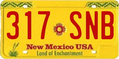 NM license plate 317SNB
