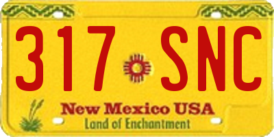 NM license plate 317SNC