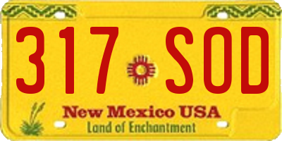 NM license plate 317SOD