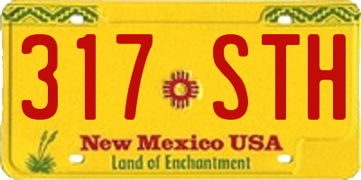 NM license plate 317STH