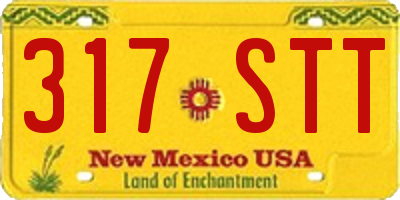 NM license plate 317STT