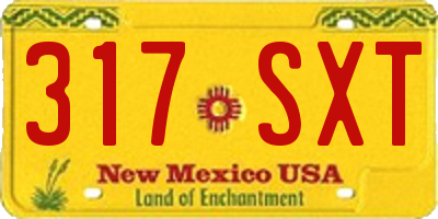 NM license plate 317SXT