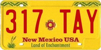 NM license plate 317TAY