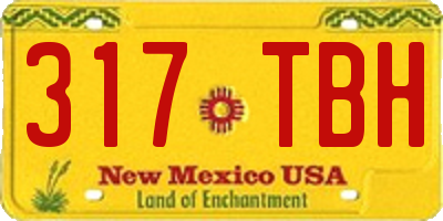 NM license plate 317TBH