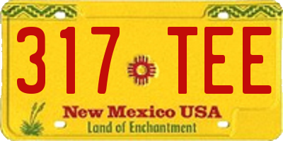 NM license plate 317TEE