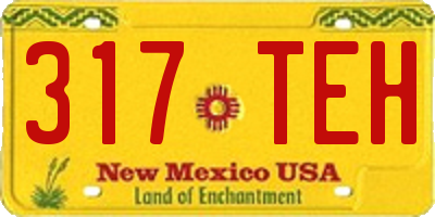NM license plate 317TEH