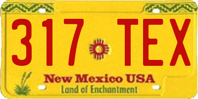 NM license plate 317TEX