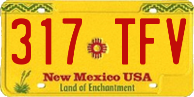 NM license plate 317TFV