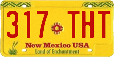 NM license plate 317THT