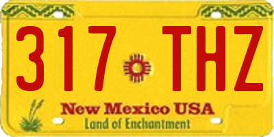 NM license plate 317THZ