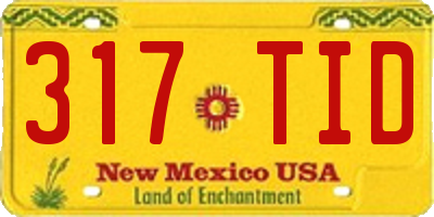 NM license plate 317TID